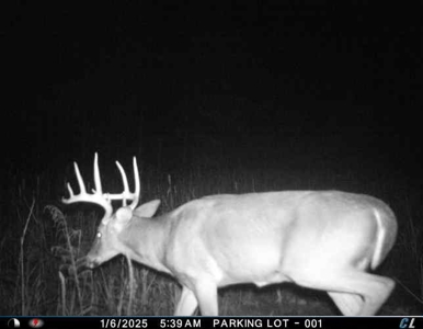 56 Acres of Hunting Land for Sale in Bertie County - image 22