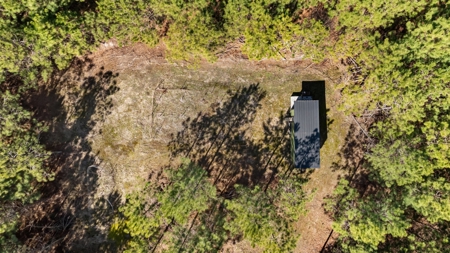 56 Acres of Hunting Land for Sale in Bertie County - image 12