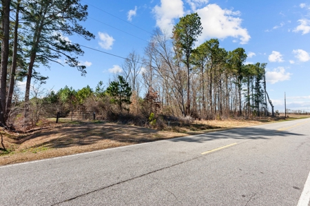 56 Acres of Hunting Land for Sale in Bertie County - image 3