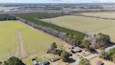 56 Acres of Hunting Land for Sale in Bertie County - image 10