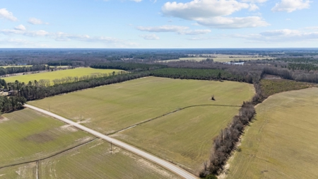 56 Acres of Hunting Land for Sale in Bertie County - image 9