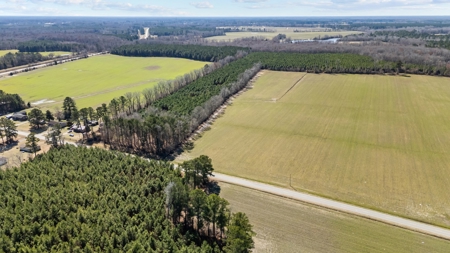 56 Acres of Hunting Land for Sale in Bertie County - image 7