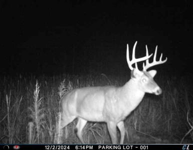 56 Acres of Hunting Land for Sale in Bertie County - image 20