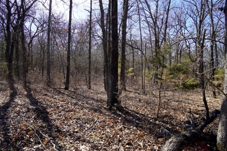 Home 5 Acres for Sale Meeker, Oklahoma - image 7