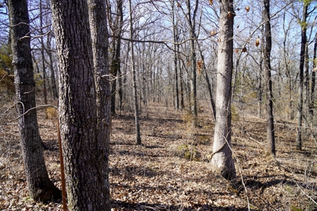 Home 5 Acres for Sale Meeker, Oklahoma - image 8