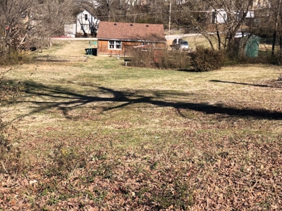 Lot for Sale in the Oregon County Ozarks - image 3