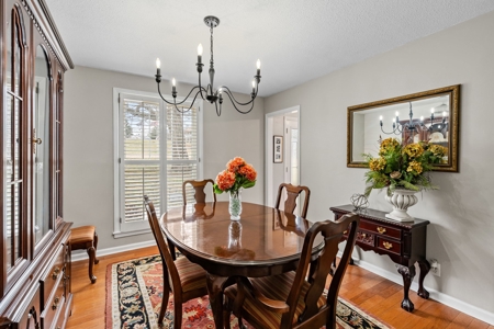 Welcome Home! - image 10