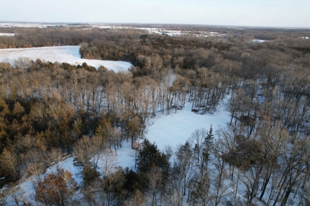 Lee County Online Land Auction - image 6