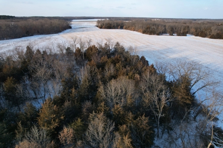Lee County Online Land Auction - image 19