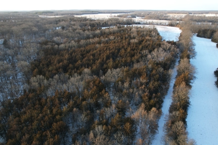Lee County Online Land Auction - image 13