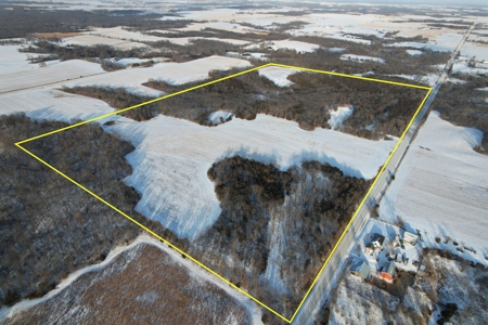 Lee County Online Land Auction - image 2