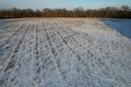 Lee County Online Land Auction - image 24