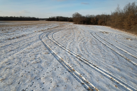 Lee County Online Land Auction - image 14