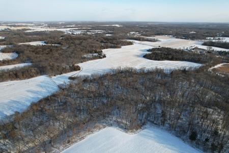Lee County Online Land Auction - image 12