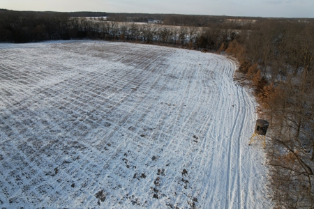 Lee County Online Land Auction - image 20