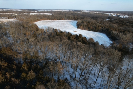 Lee County Online Land Auction - image 29
