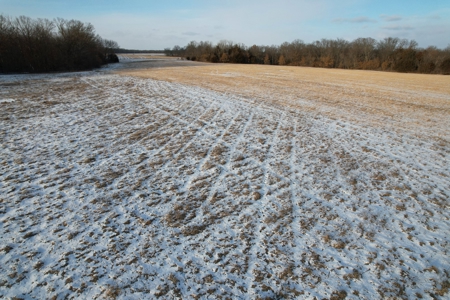 Lee County Online Land Auction - image 5