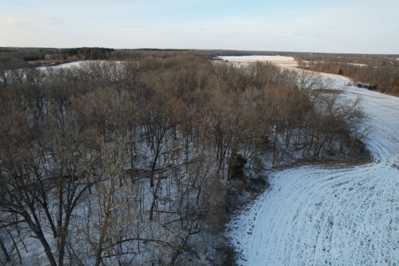 Lee County Online Land Auction - image 37