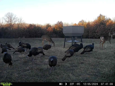Lee County Online Land Auction - image 43
