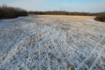 Lee County Online Land Auction - image 30