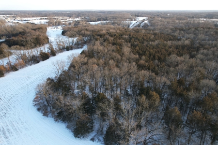 Lee County Online Land Auction - image 33