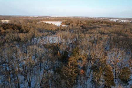 Lee County Online Land Auction - image 9