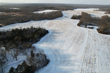 Lee County Online Land Auction - image 34