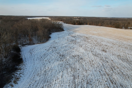 Lee County Online Land Auction - image 38
