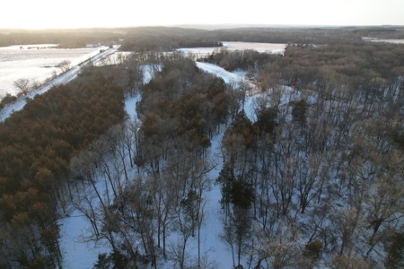 Lee County Online Land Auction - image 17