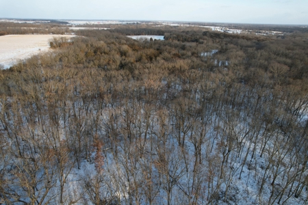 Lee County Online Land Auction - image 28