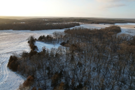 Lee County Online Land Auction - image 25