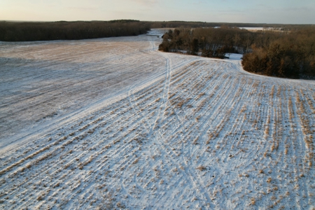 Lee County Online Land Auction - image 22