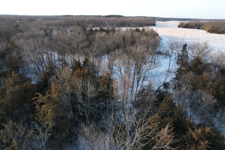 Lee County Online Land Auction - image 36