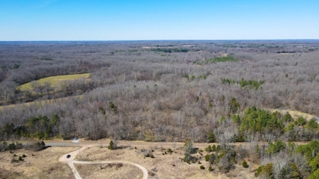 Prime Land for Development & Investment in Gibson County, TN - image 6