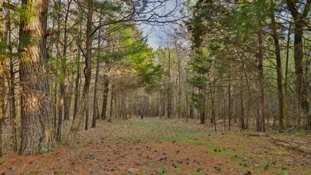 Prime Land for Development & Investment in Gibson County, TN - image 13