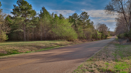 Prime Land for Development & Investment in Gibson County, TN - image 10