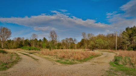 Prime Land for Development & Investment in Gibson County, TN - image 12