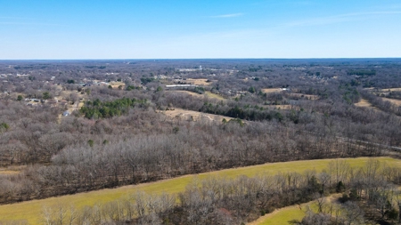 Prime Land for Development & Investment in Gibson County, TN - image 5