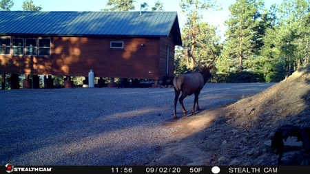 Charming Off-Grid One-Bedroom Cabin Near Chama NM - image 44