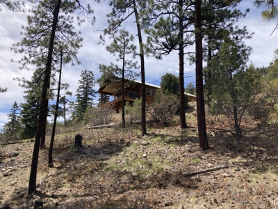 Charming Off-Grid One-Bedroom Cabin Near Chama NM - image 30