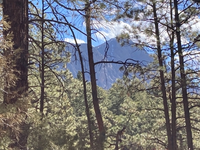 Charming Off-Grid One-Bedroom Cabin Near Chama NM - image 11