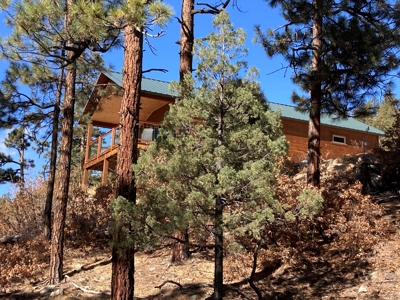 Charming Off-Grid One-Bedroom Cabin Near Chama NM - image 5