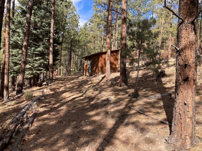 Charming Off-Grid One-Bedroom Cabin Near Chama NM - image 15