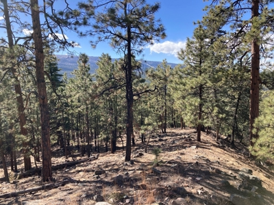 Charming Off-Grid One-Bedroom Cabin Near Chama NM - image 3
