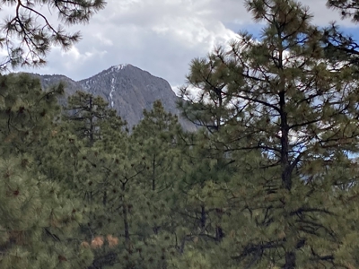 Charming Off-Grid One-Bedroom Cabin Near Chama NM - image 41