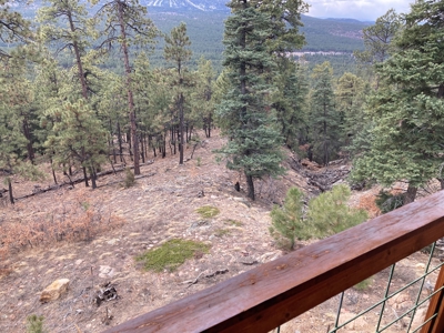Charming Off-Grid One-Bedroom Cabin Near Chama NM - image 39