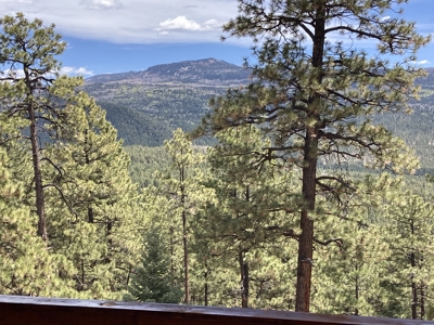 Charming Off-Grid One-Bedroom Cabin Near Chama NM - image 16