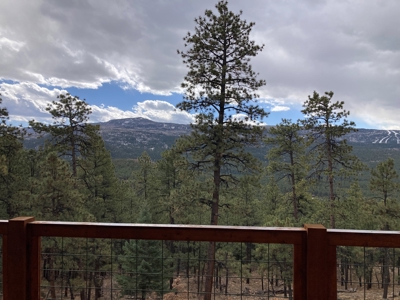 Charming Off-Grid One-Bedroom Cabin Near Chama NM - image 36