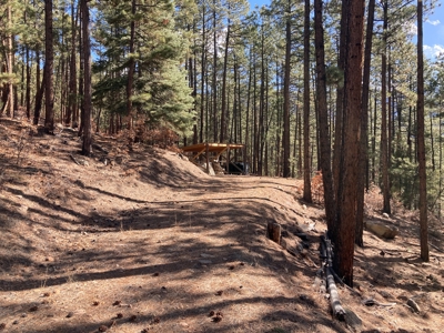 Charming Off-Grid One-Bedroom Cabin Near Chama NM - image 9