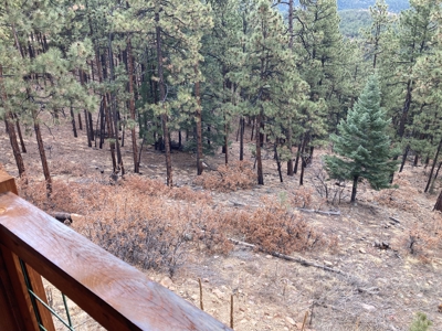 Charming Off-Grid One-Bedroom Cabin Near Chama NM - image 40